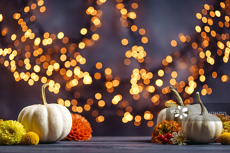 白色装饰南瓜秋花灰色散景背景图片素材