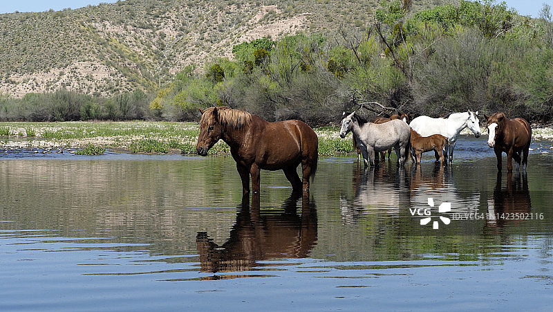 自然视角图片素材