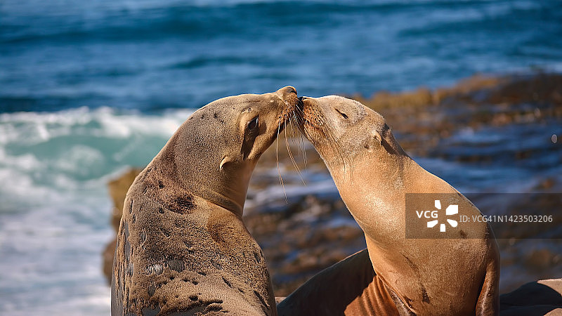 爱与关怀图片素材