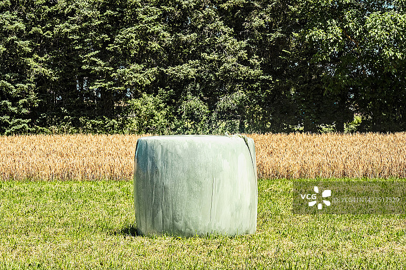 农田里的干草捆图片素材