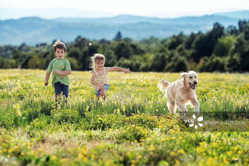 两个孩子和一只狗在日落时分的田野上奔跑图片素材