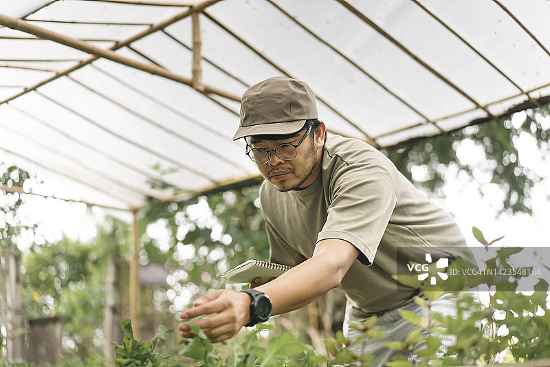 亚洲青年智慧农民记录分析自家种植的蔬菜，实现可持续生活图片素材