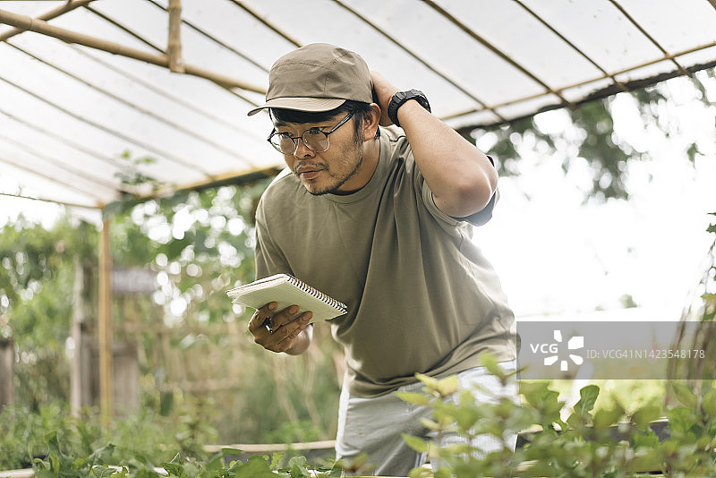 亚洲青年智慧农民记录分析自家种植的蔬菜，实现可持续生活图片素材