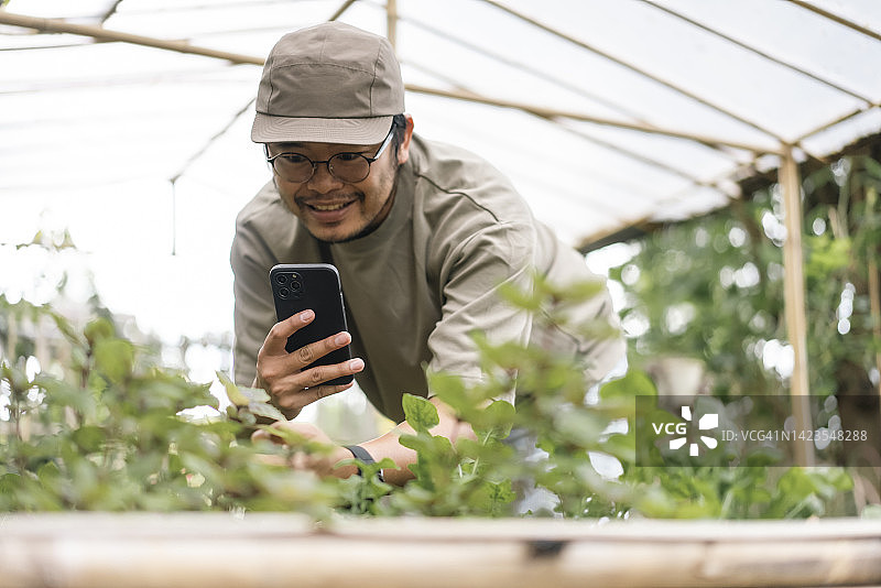 亚裔青年智能农民在家拍摄蔬菜种植视频，实现可持续生活图片素材