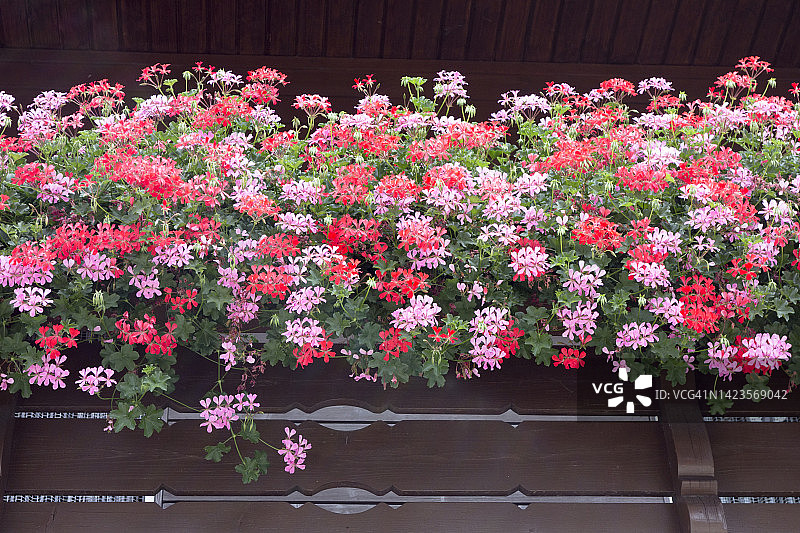 鲜花与窗台阳台图片素材