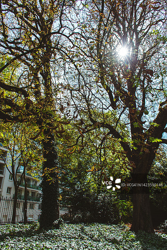 巴黎Buttes Chaumont公园图片素材