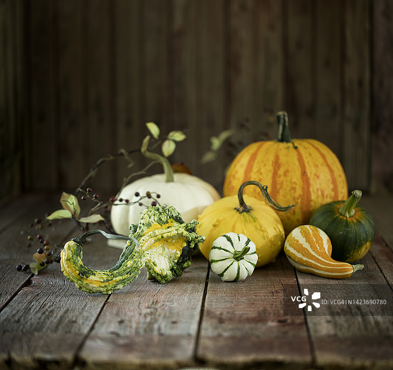 秋季南瓜和葫芦图片素材