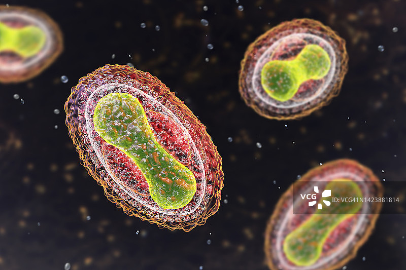 天花病毒，图示图片素材