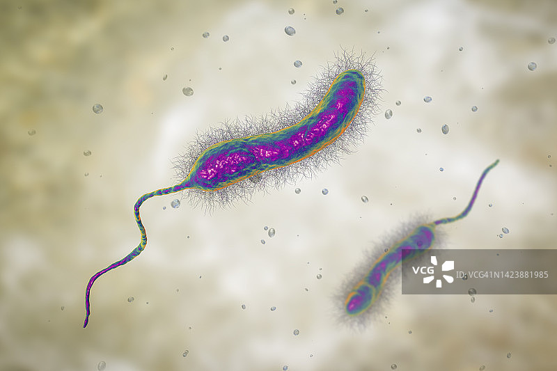 霍乱弧菌细菌，图示图片素材