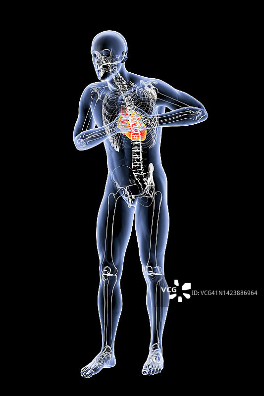 胸痛的男子插图图片素材