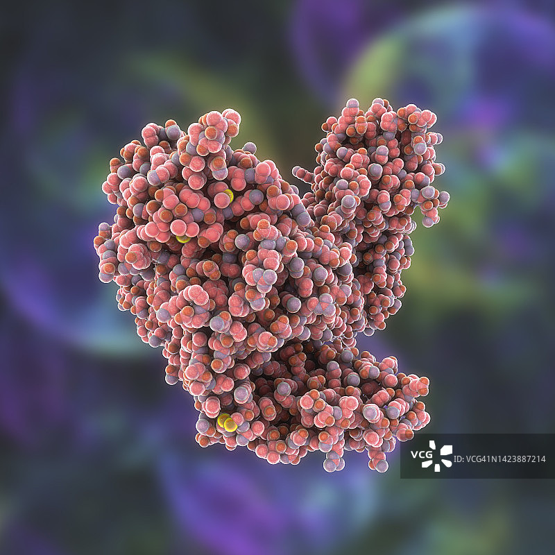 破伤风神经毒素分子图图片素材