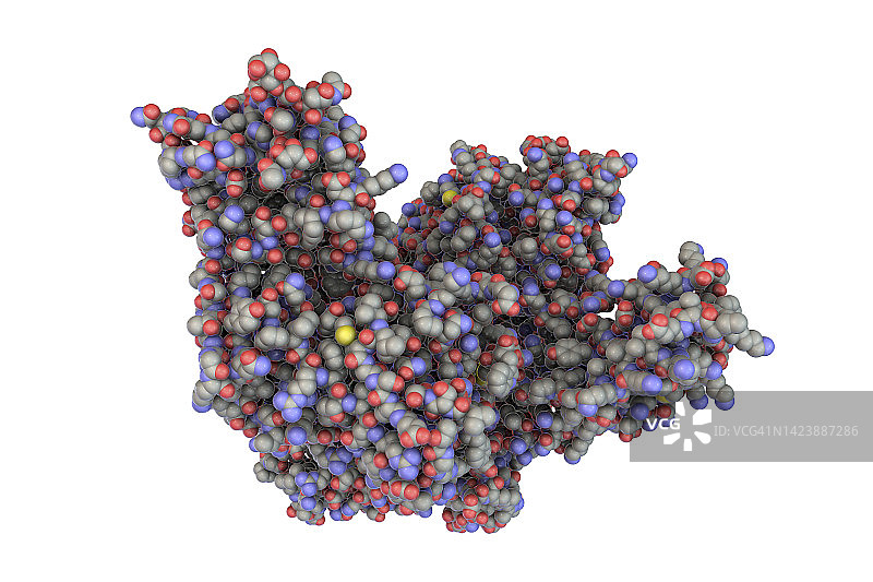 破伤风神经毒素分子图图片素材