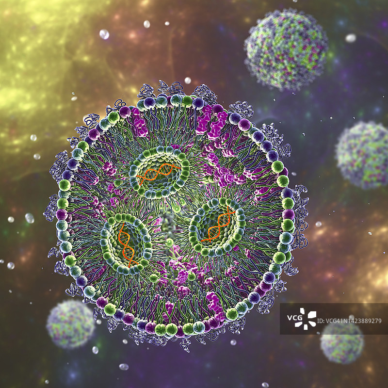 siRNA脂质纳米颗粒抗病毒示意图片素材