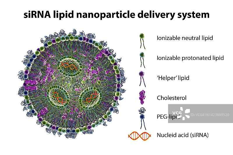 siRNA脂质纳米颗粒抗病毒示意图片素材