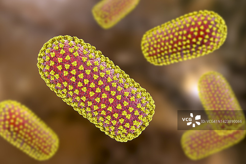 狂犬病病毒，图示图片素材