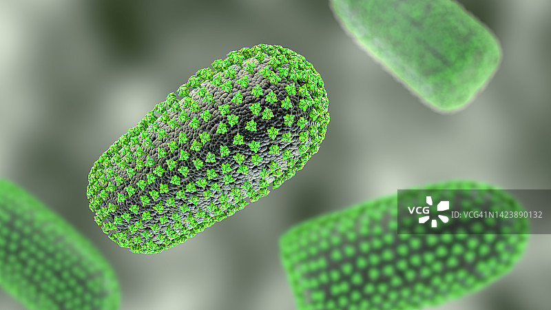 狂犬病病毒，图示图片素材