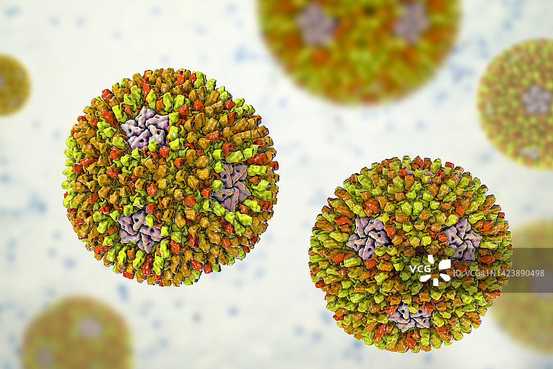 呼肠病毒插图图片素材