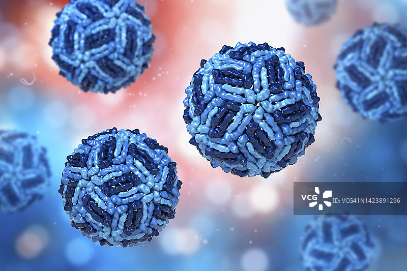 西尼罗河病毒颗粒插图图片素材