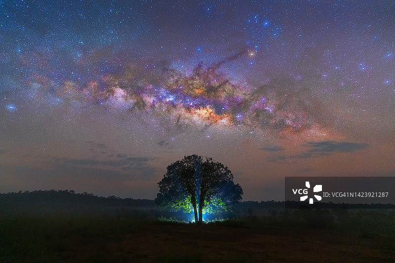 森林之夜的银河图片素材