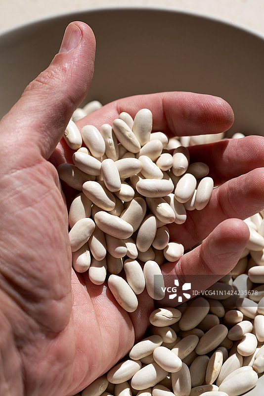 手持一把白色蚕豆图片素材