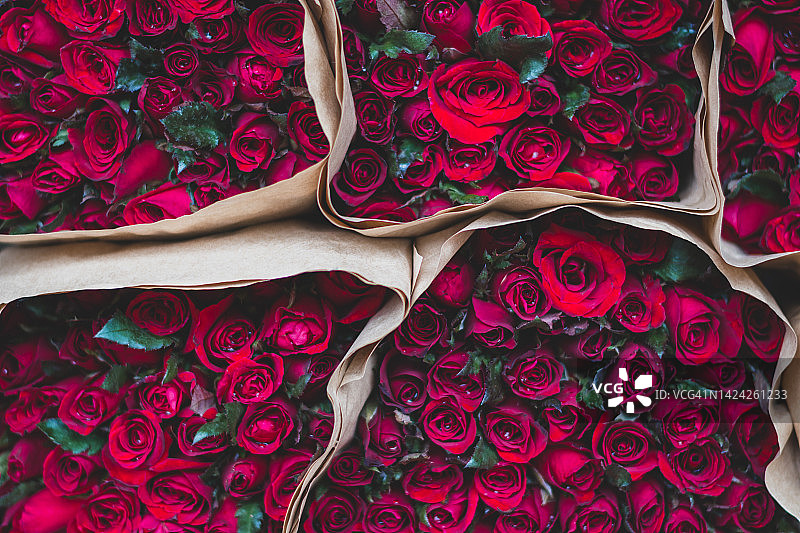 全框玫瑰花束图片素材