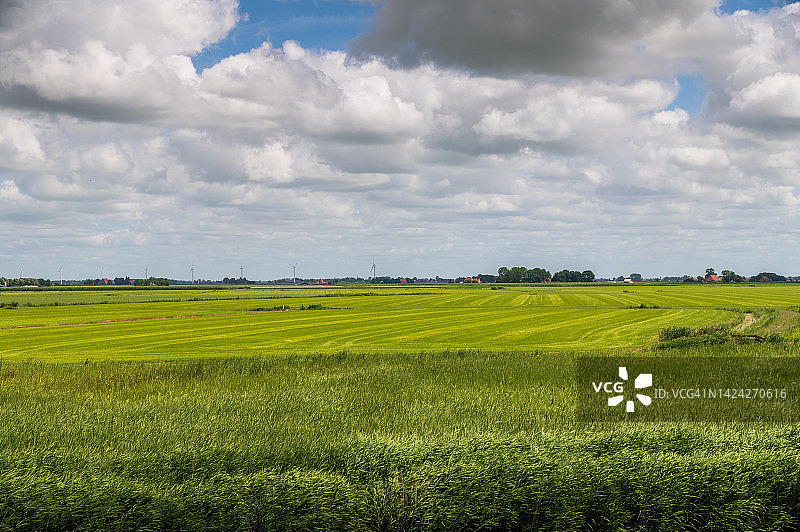 绿草地和多云的天空图片素材