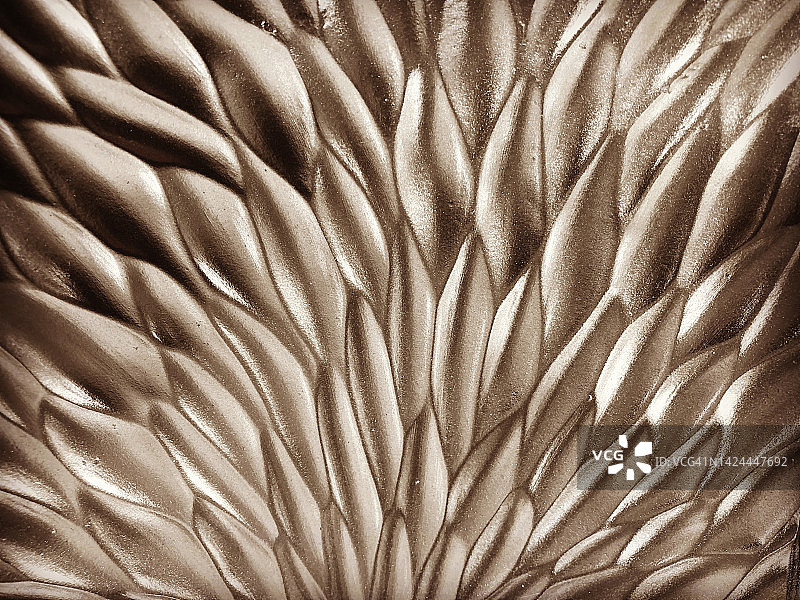 金属羽毛/花瓣图案图片素材