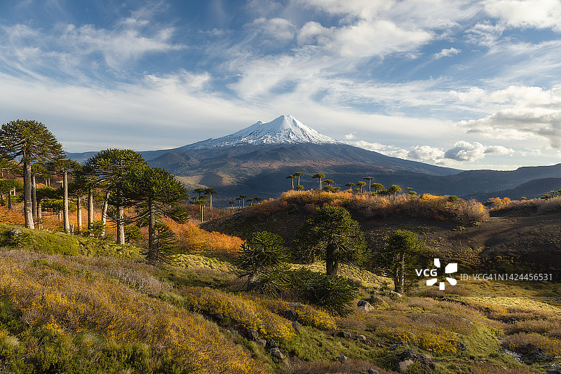 内华达山脉的亚伊马火山，孔吉利奥国家公园图片素材