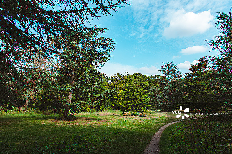 巴黎布洛涅森林公园图片素材