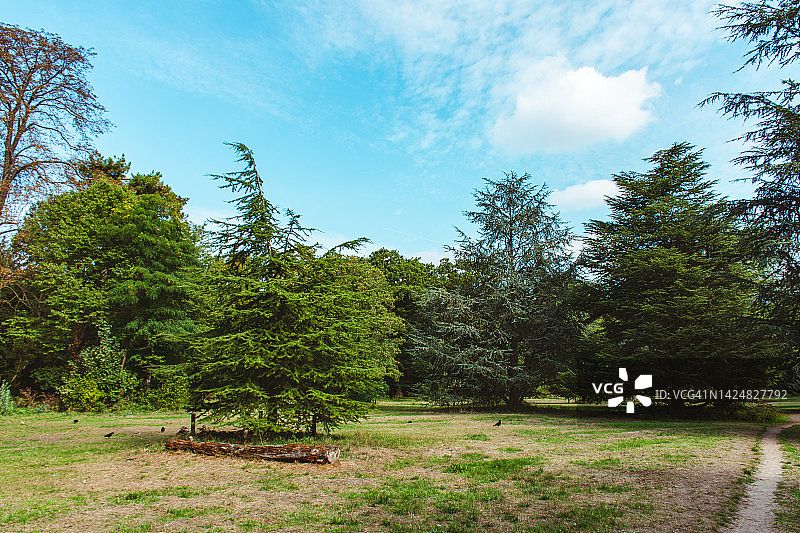 巴黎布洛涅森林公园图片素材