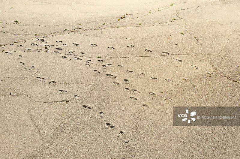 沙滩上的足迹图片素材