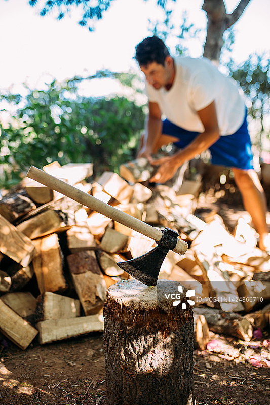 为过冬准备木柴图片素材