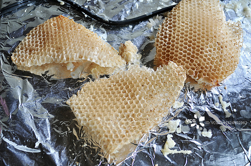 蜂巢新鲜蜂蜜图片素材