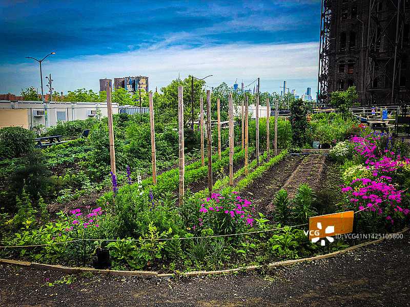 布鲁克林社区农场图片素材