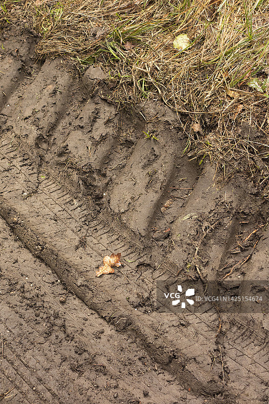 泥泞土地中的越野车轮胎痕迹图片素材