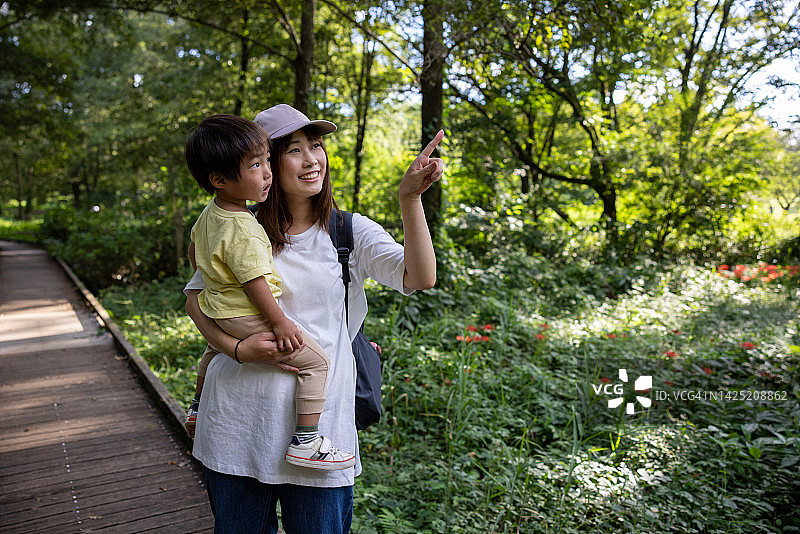 母子观赏盛开的朱顶红图片素材