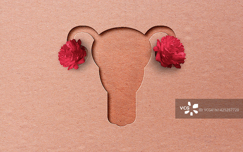 纸质子宫模型，粉色背景图片素材