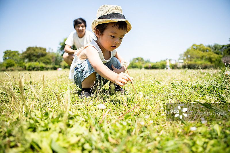 一岁大的男孩试图在公园里摘蒲公英，他的父亲在后面看着他图片素材