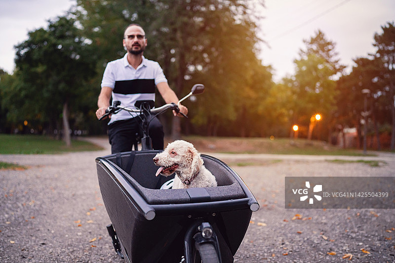 白人男子骑着他的贵宾犬进入货运自行车图片素材