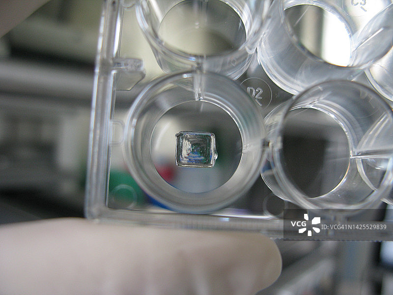 生物打印图片素材