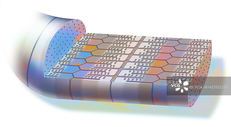 骨骼肌素描图片素材