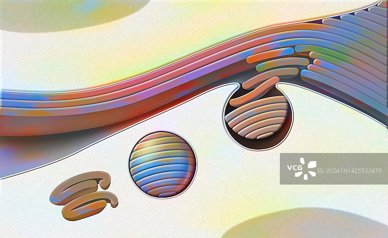 皮肤绘画图片素材