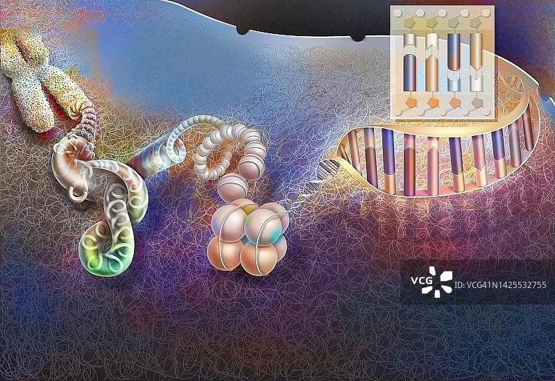 DNA压缩图片素材
