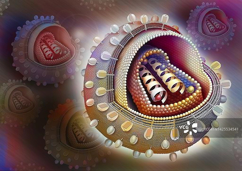 艾滋病病毒图图片素材