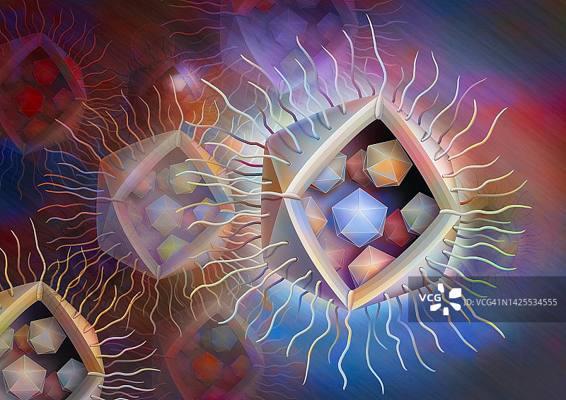 病毒噬菌体图片素材