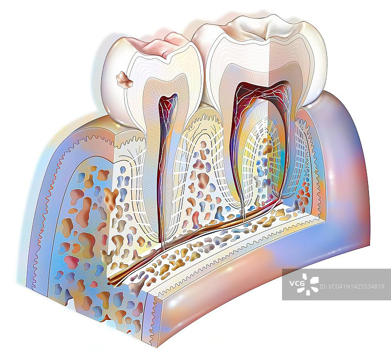 蛀牙绘画图片素材