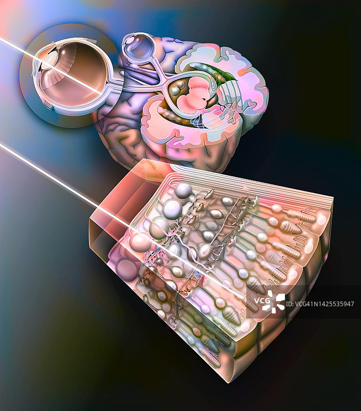 眼睛绘画图片素材