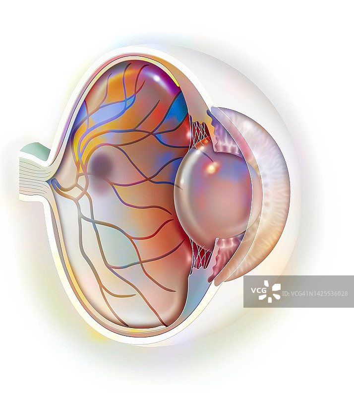 Dmla绘画图片素材
