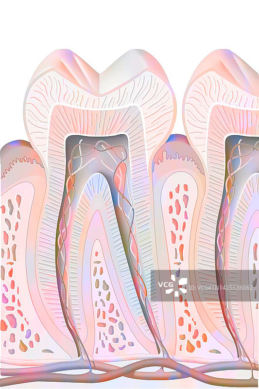 牙齿图图片素材