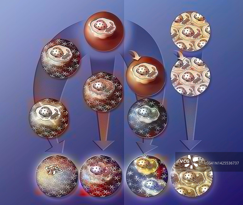 冷冻保存绘画图片素材